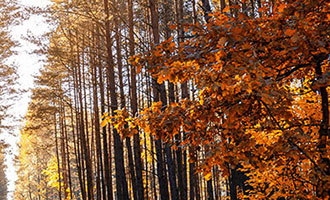 快手 1 万粉丝官方发工资吗？答案在这里